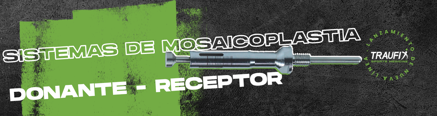 Banner Sistema de Mosaicoplastía